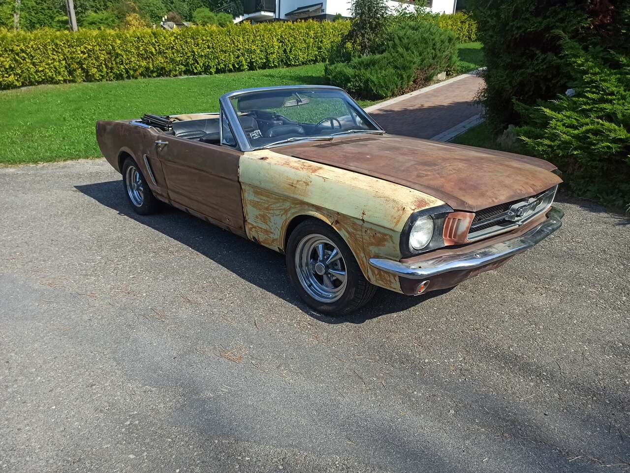 Ford Mustang CABRIO 65 