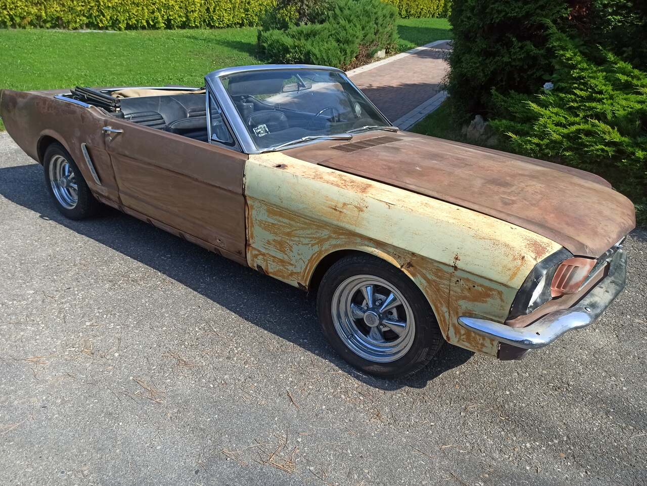 Ford Mustang CABRIO 65 