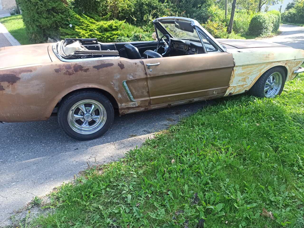 Ford Mustang CABRIO 65 