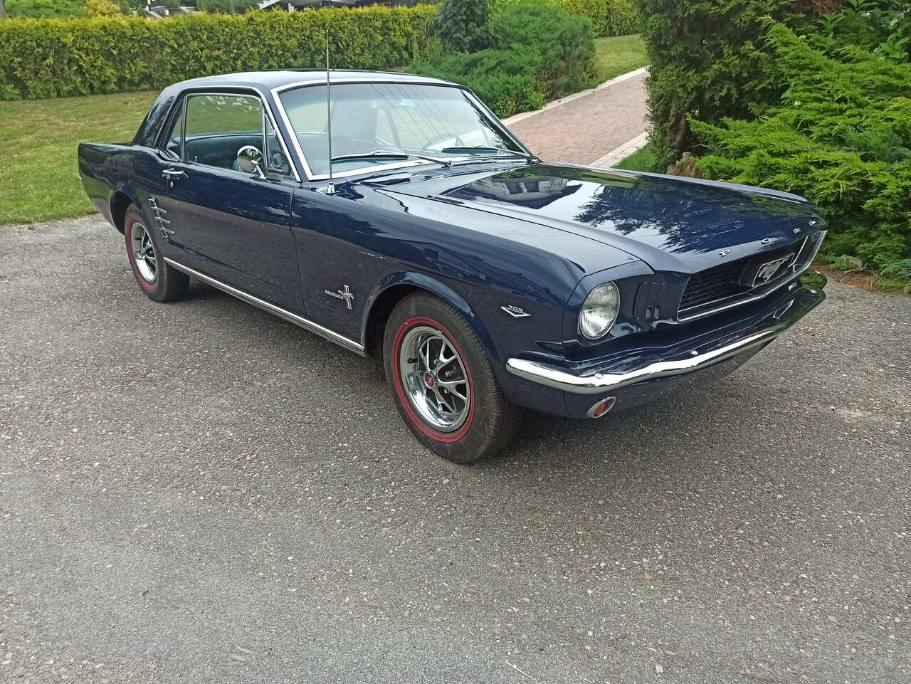 Ford Mustang V8 