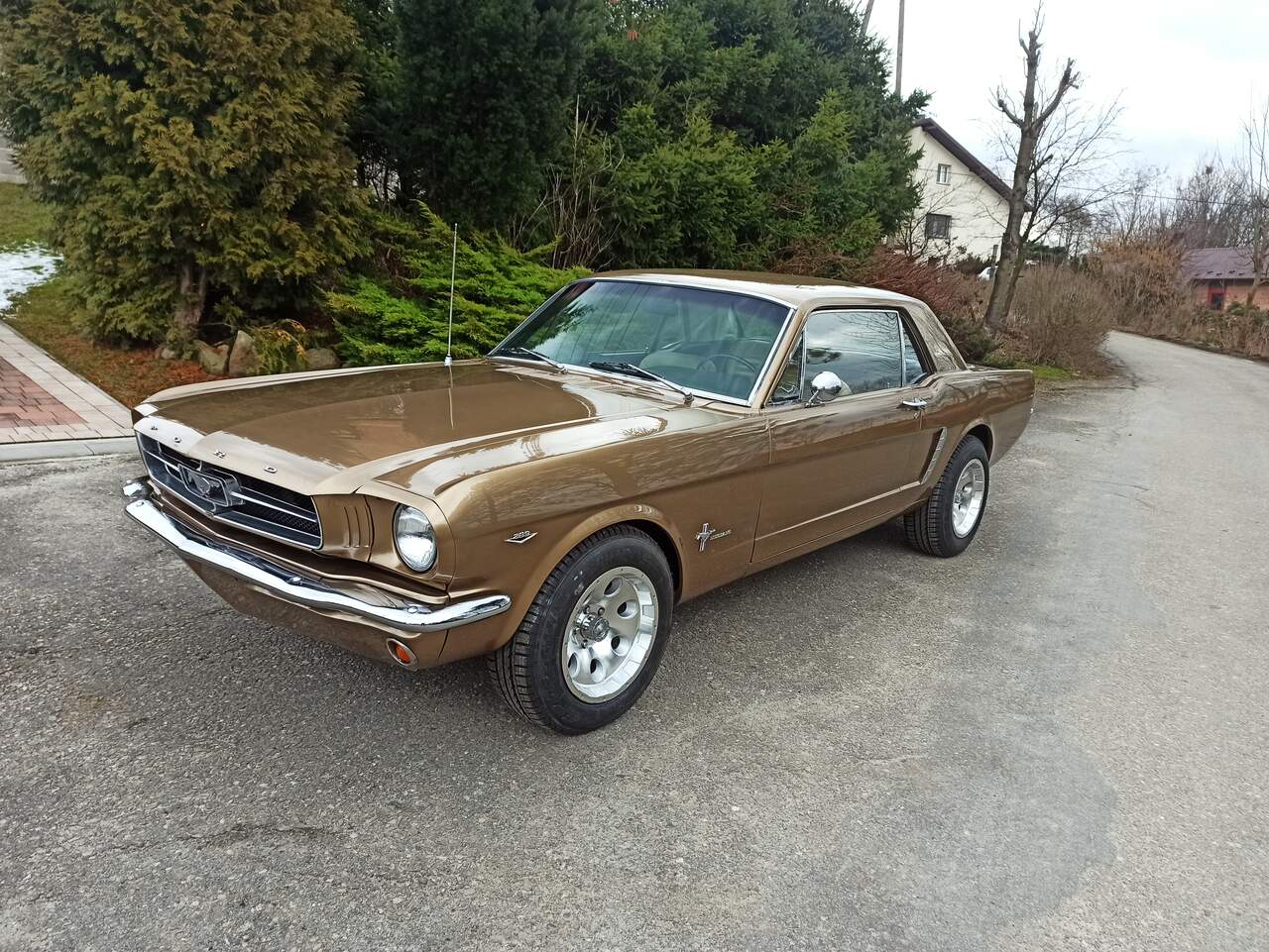 Ford Mustang 65 V8