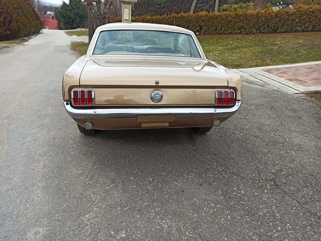 Ford Mustang 65 V8