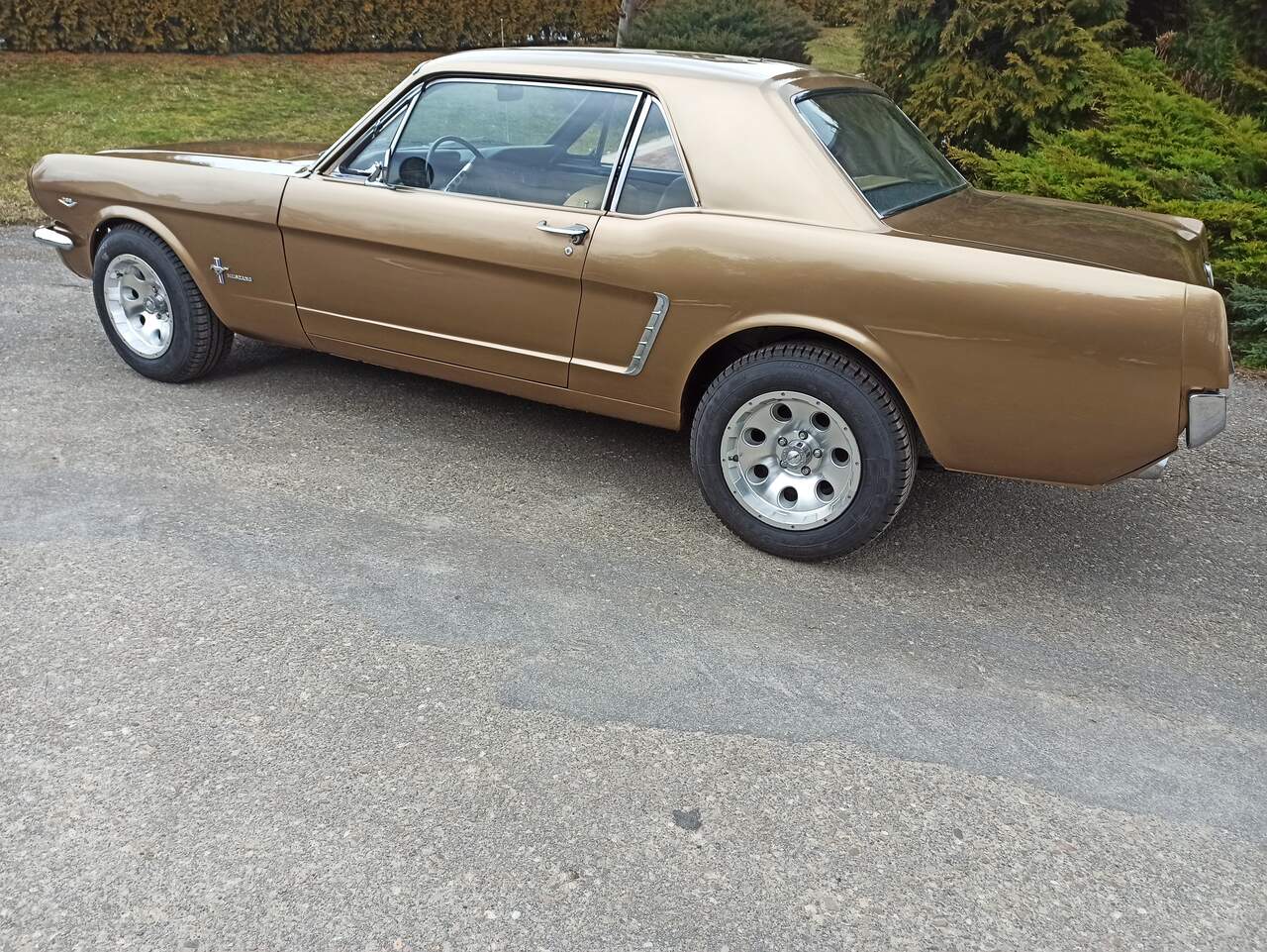 Ford Mustang 65 V8