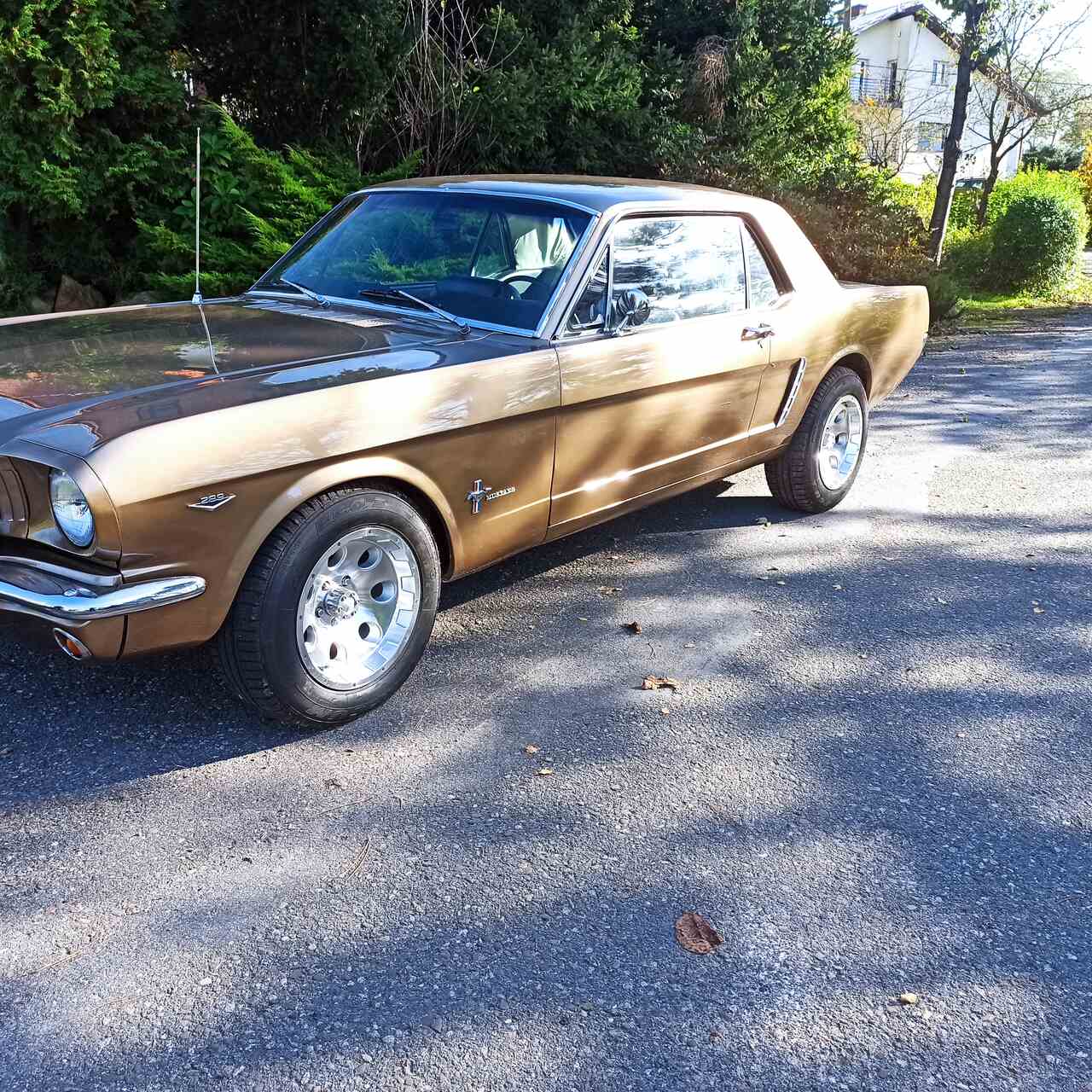 Ford Mustang 65 V8