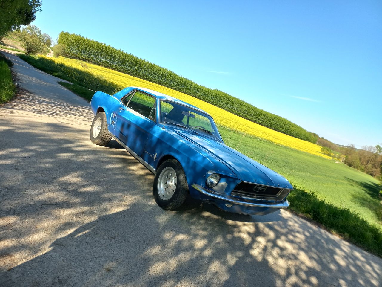 Ford MUSTANG