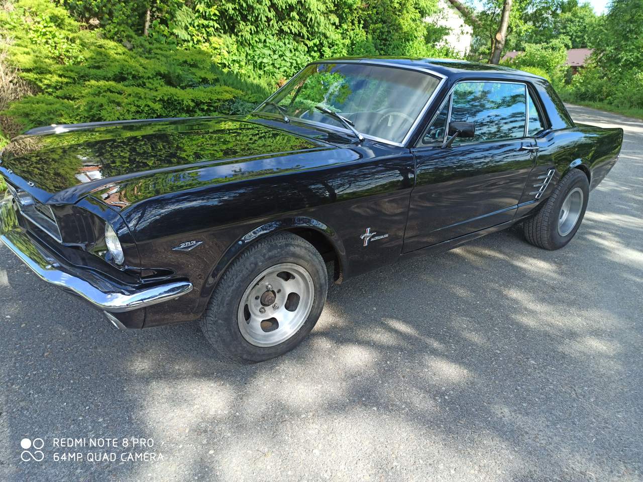 Ford Mustang 66