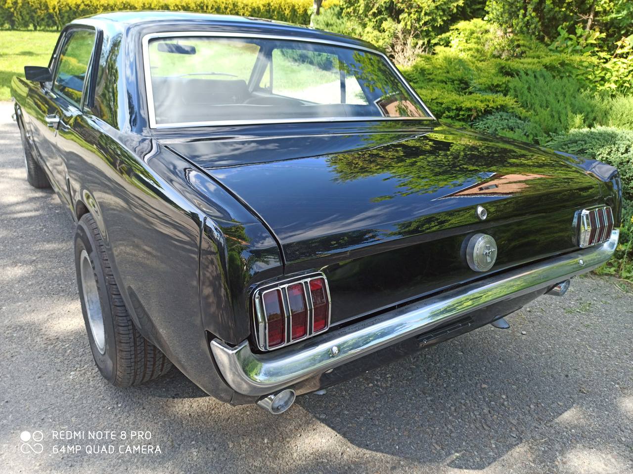 Ford Mustang 66