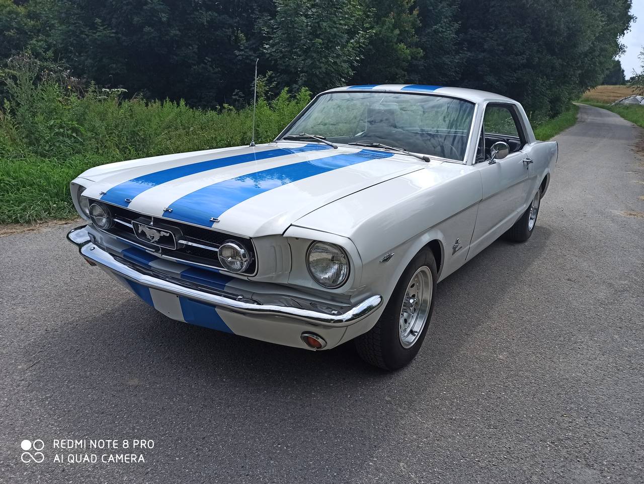 Ford Mustang 65