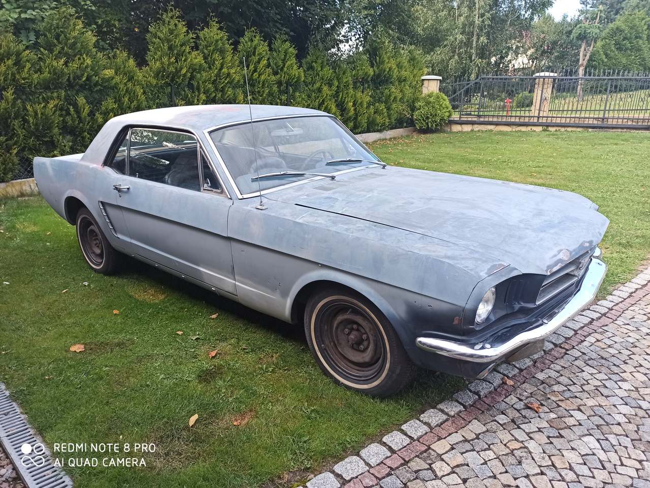 Ford mustang 65