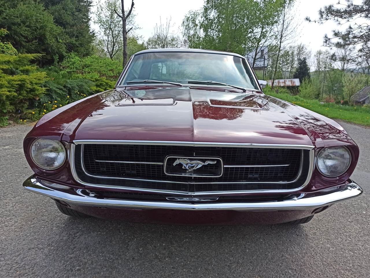 Ford Mustang 67 V8 